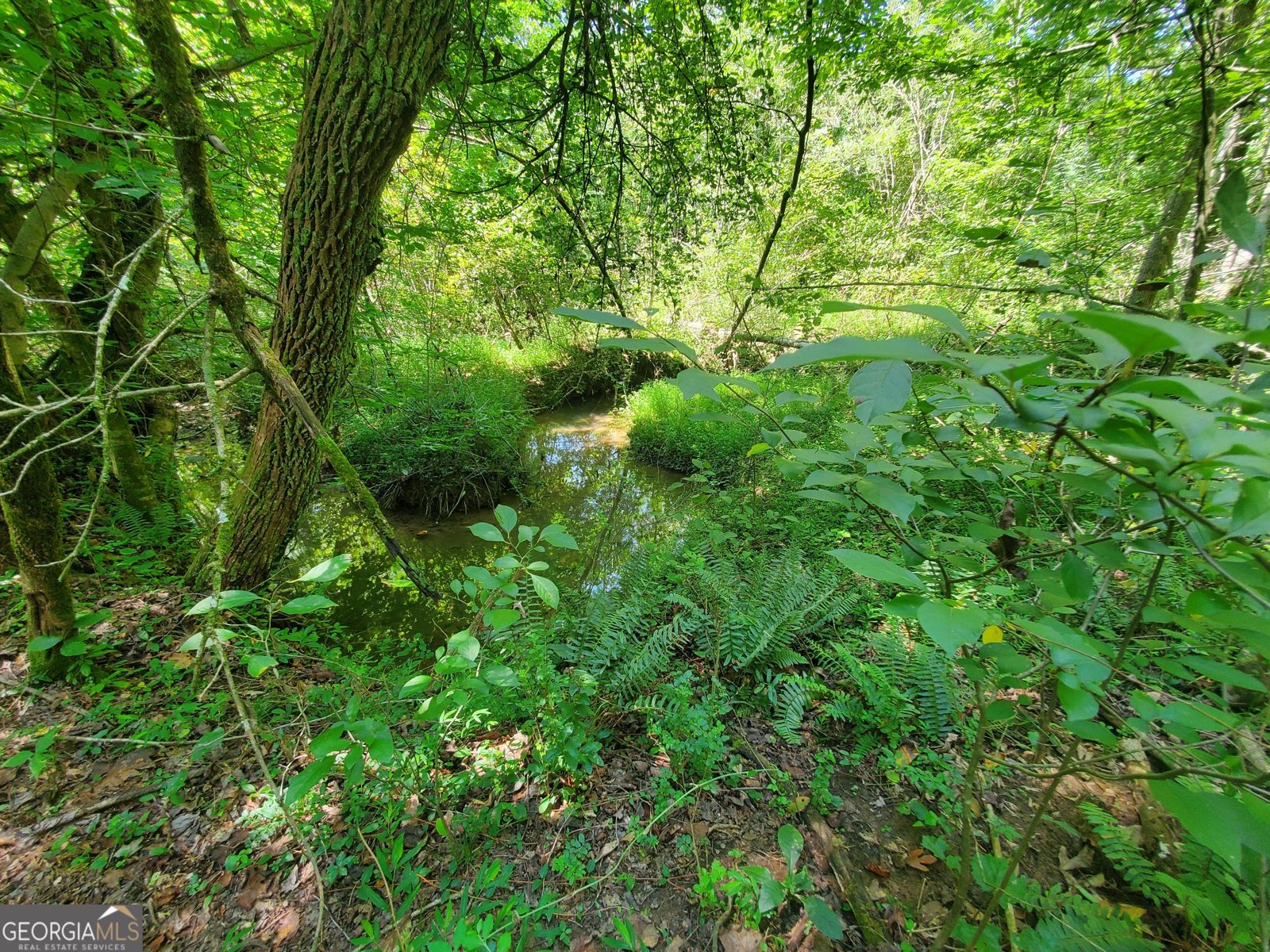 606 Keetor Road Talking Rock - 36