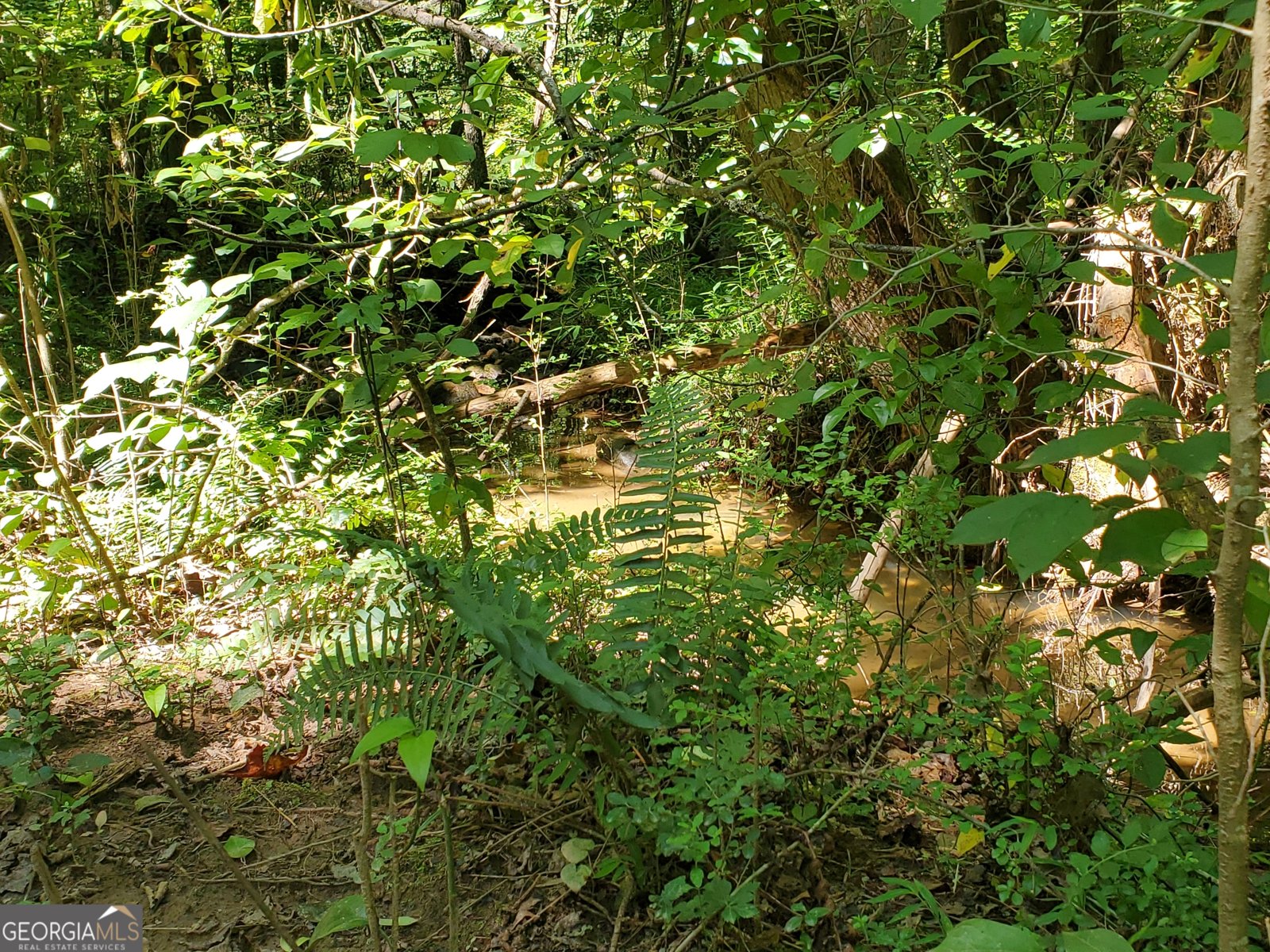 606 Keetor Road Talking Rock - 41