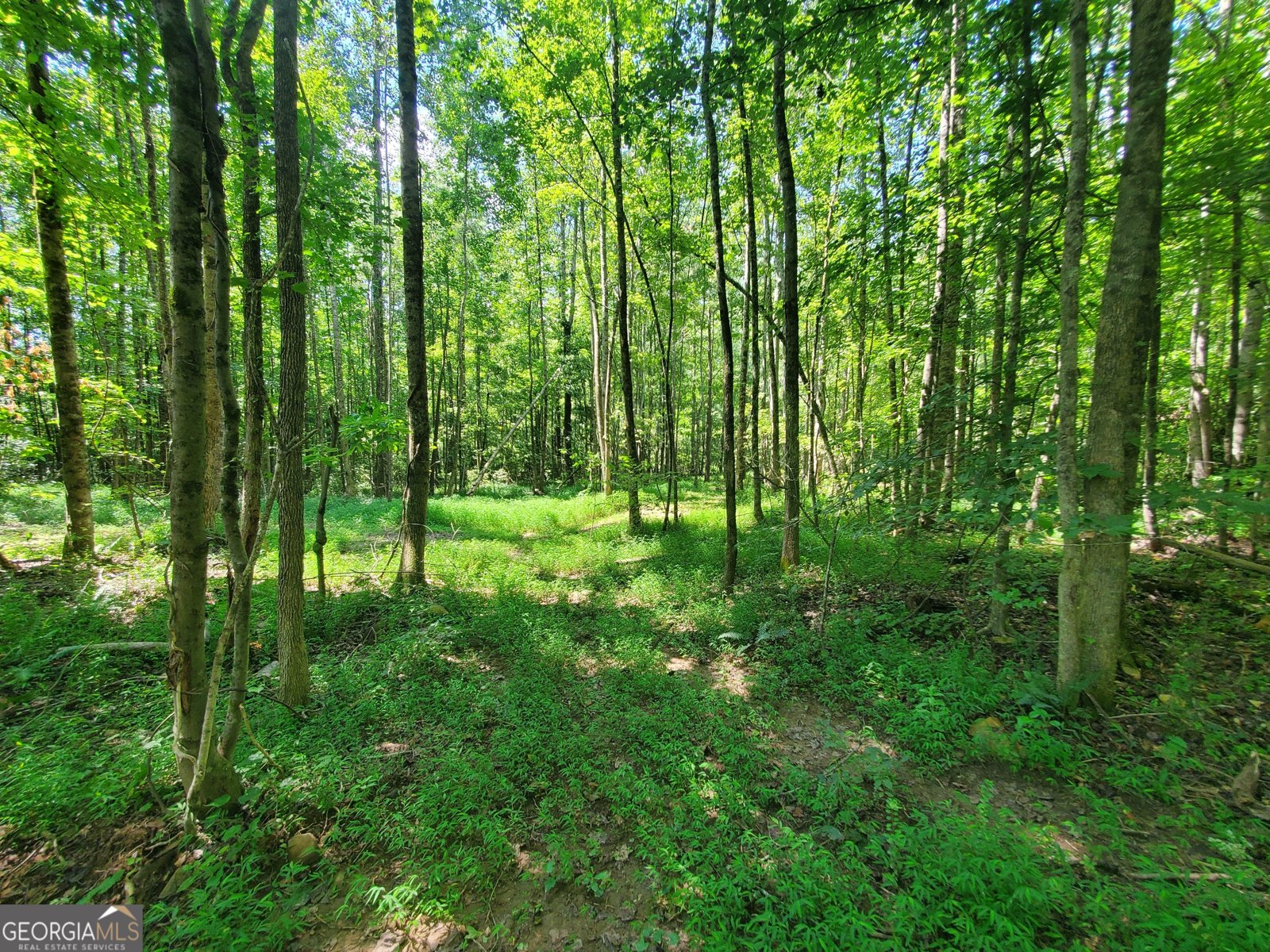 606 Keetor Road Talking Rock - 43