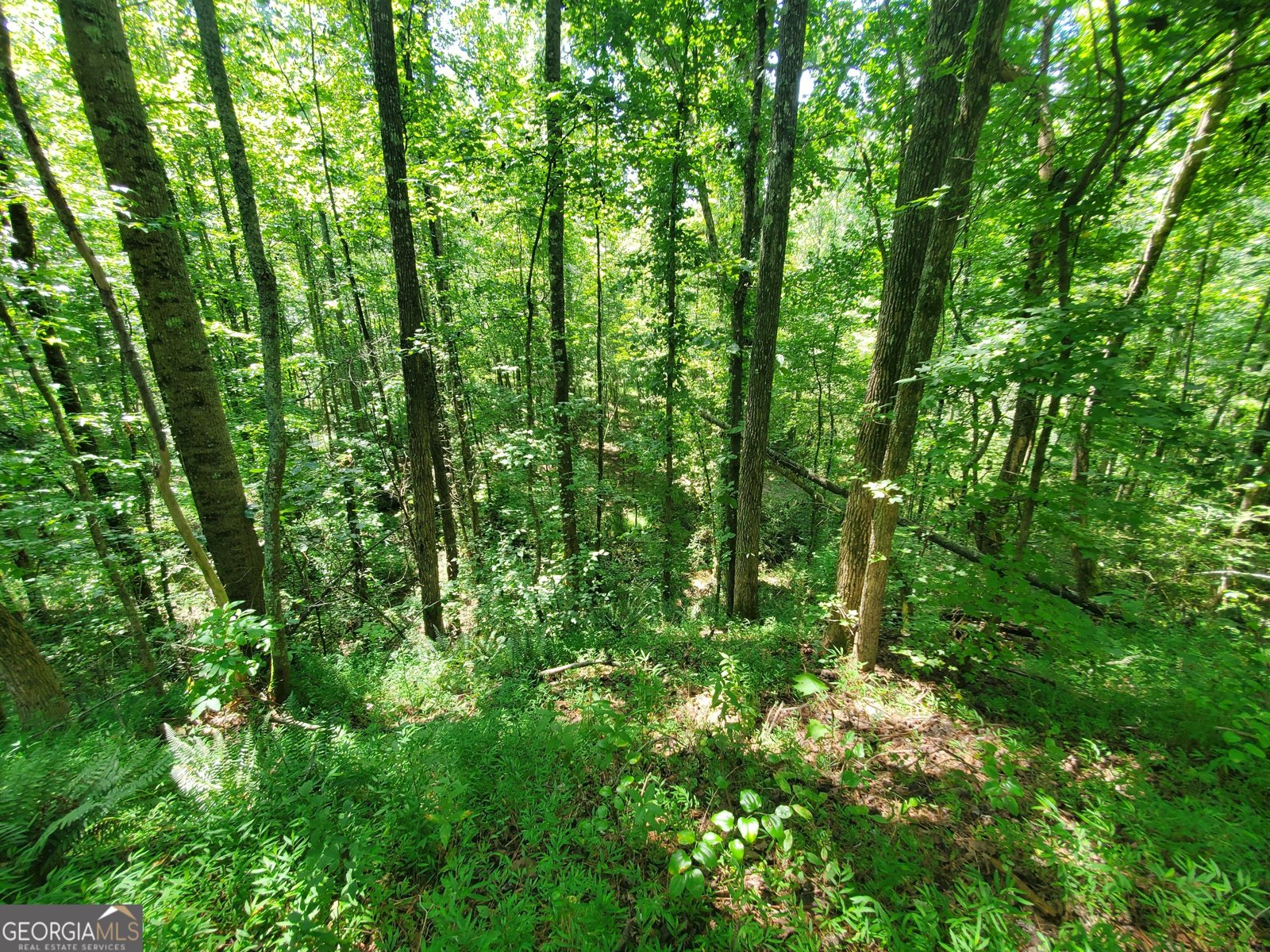 606 Keetor Road Talking Rock - 53