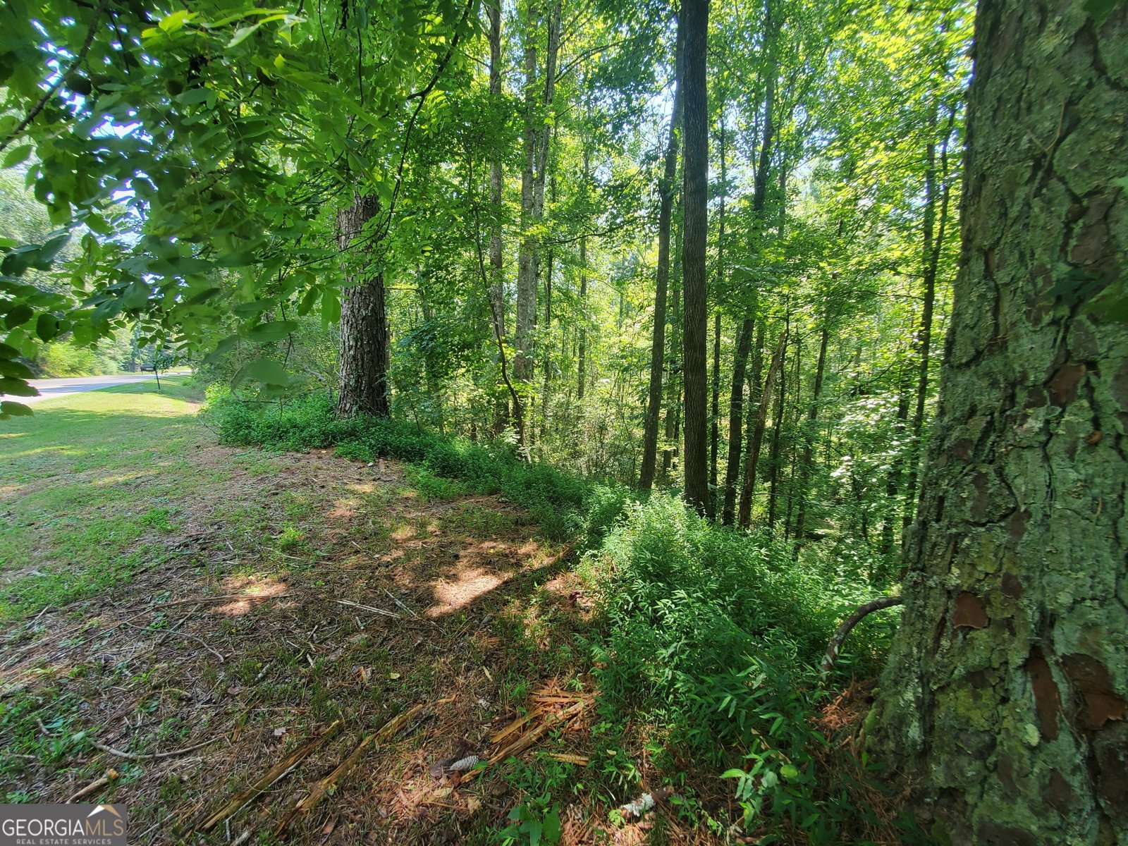 606 Keetor Road Talking Rock - 54