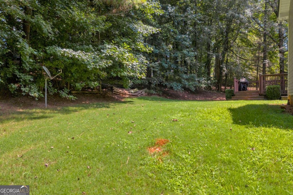 1271 Harvest Lane Hoschton - 34