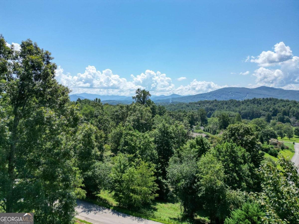 171 Chatuge Shores Overlook Hayesville - Photo 82