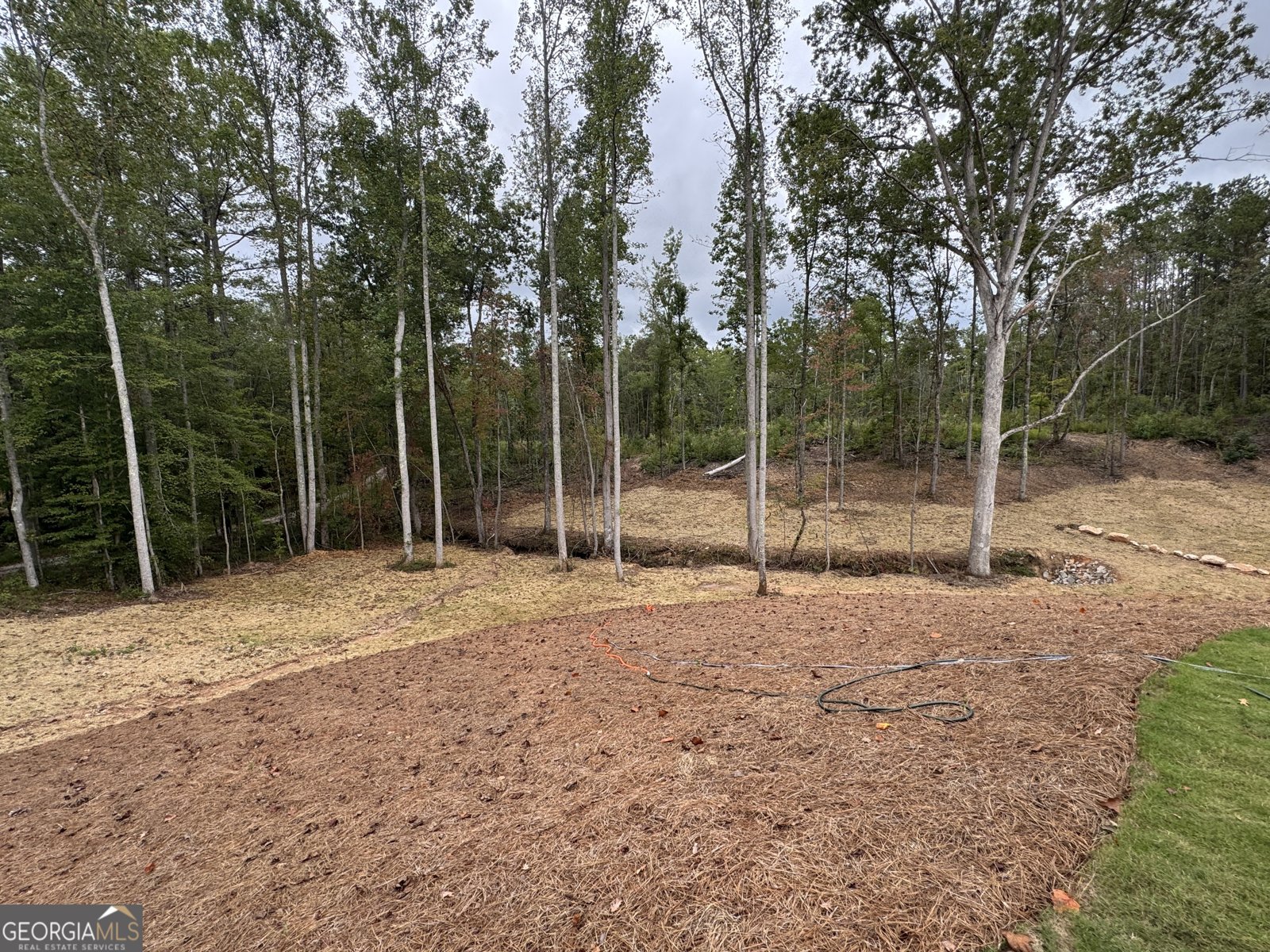 262 Corinth Five Points Road Buchanan - Photo 43