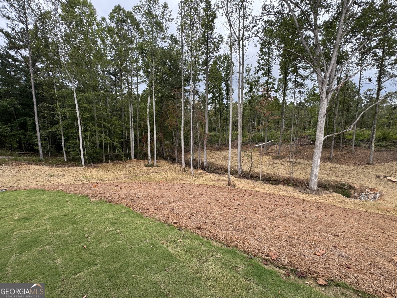 262 Corinth Five Points Road Buchanan - Photo 45