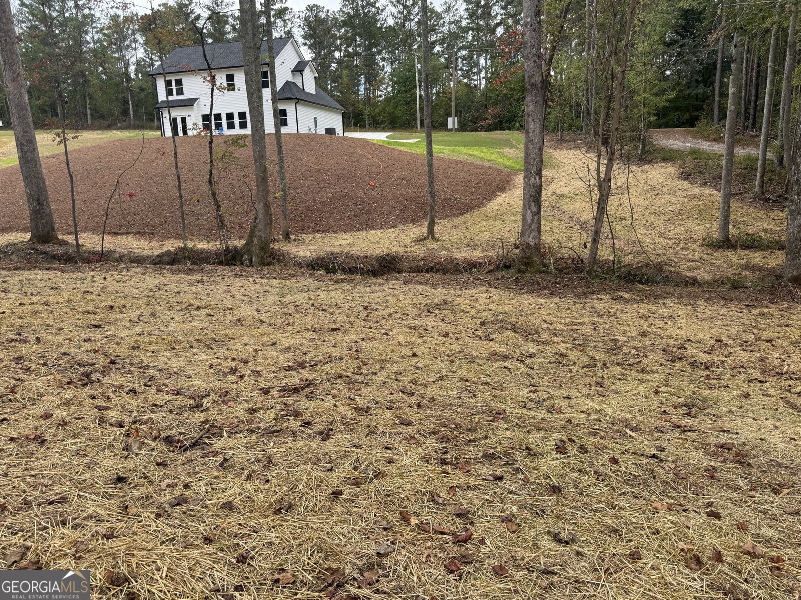 262 Corinth Five Points Road Buchanan - Photo 46