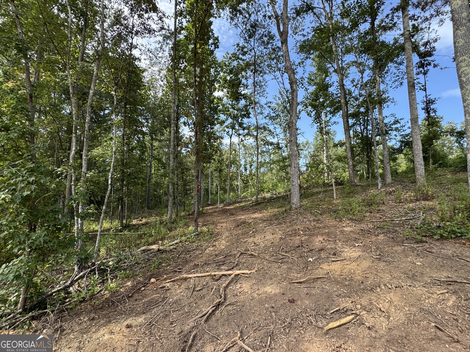 262 Corinth Five Points Road Buchanan - Photo 48