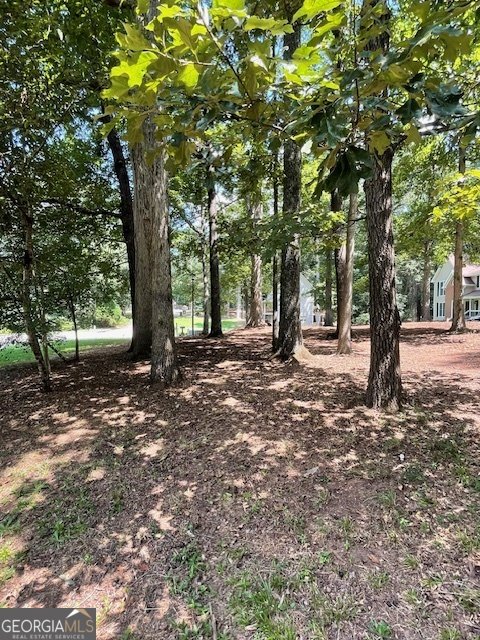8228 Lullwater Court Jonesboro - 30