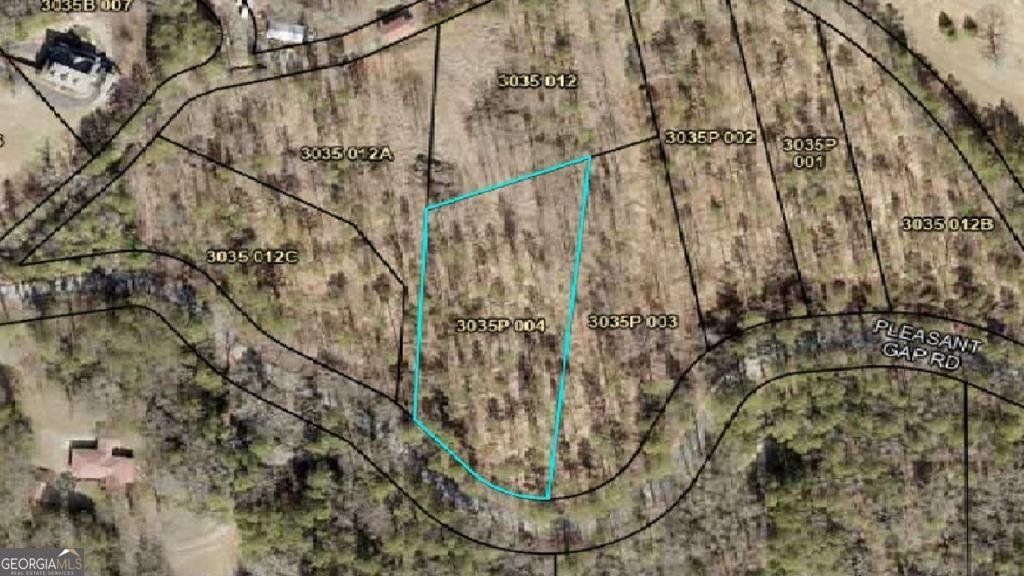 1376 Pleasant Gap Road Ellijay - 1