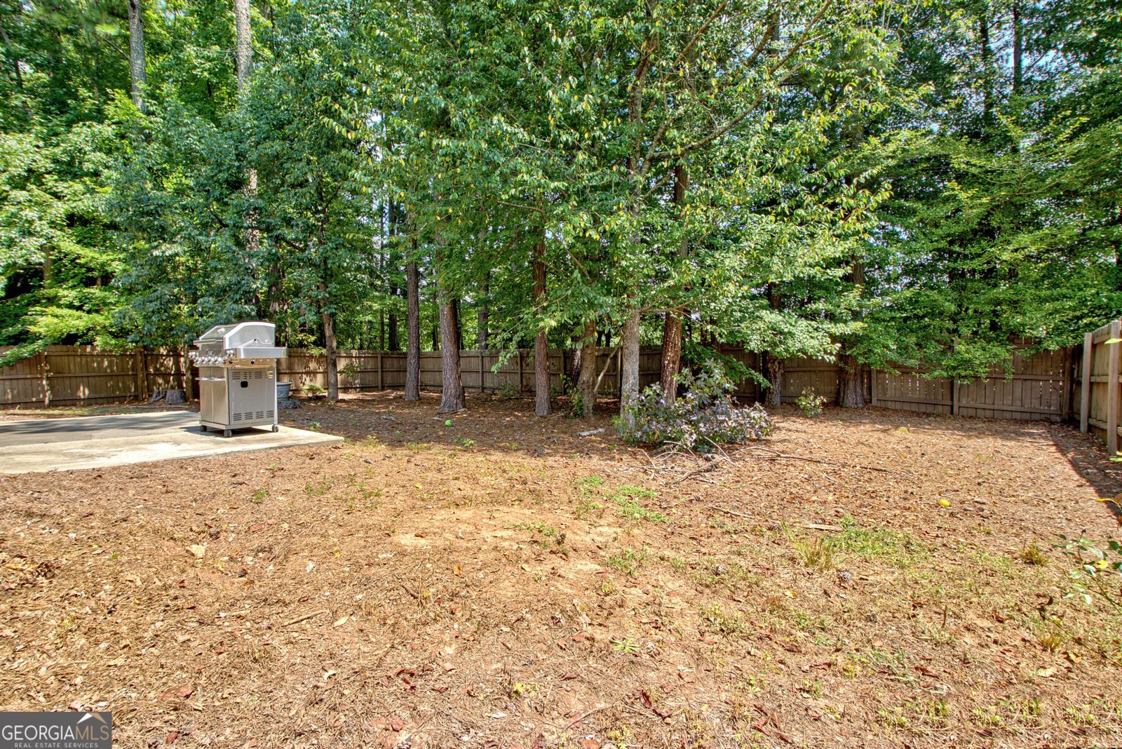 306 Freeman Forest Drive Newnan - 21
