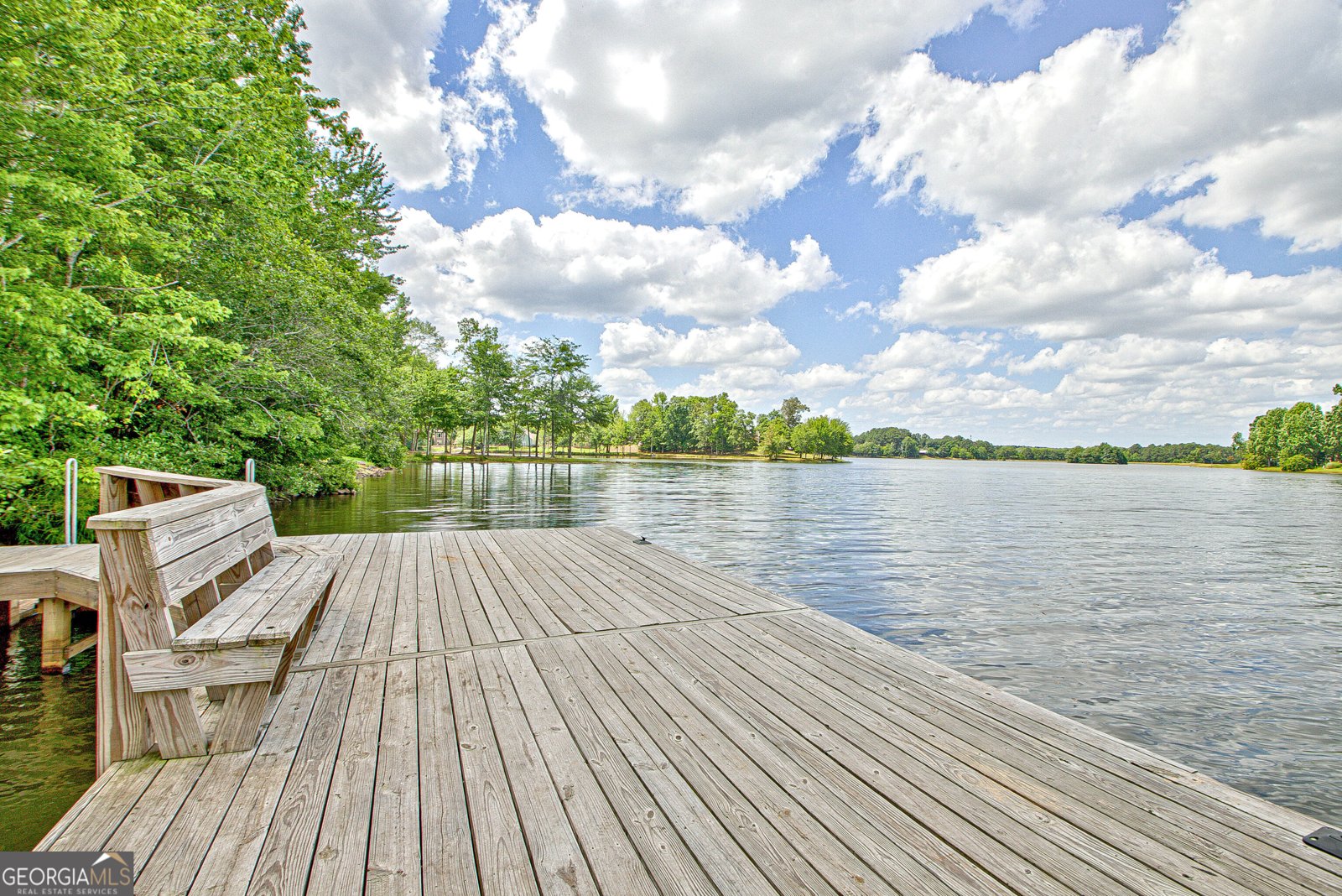 306 Freeman Forest Drive Newnan - 28