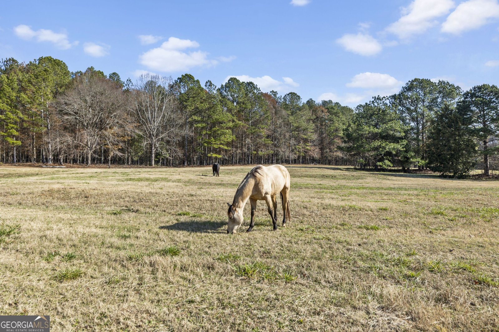 4410 Lower Apalachee Road Madison - 17
