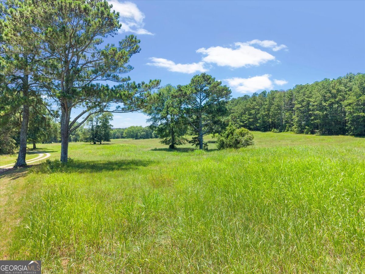 4410 Lower Apalachee Road Madison - 32