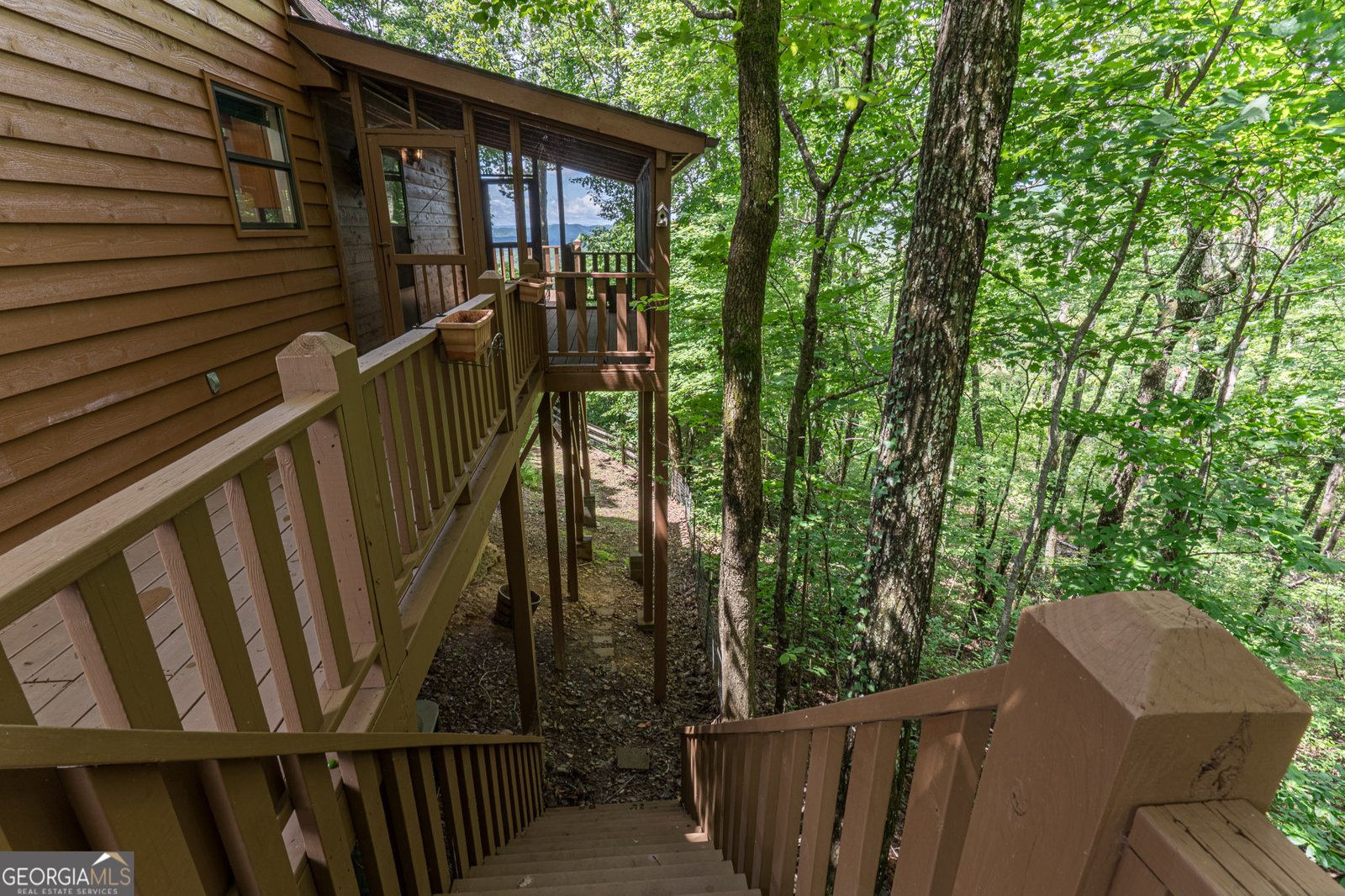 425 Boyd Ridge Road Murphy - 2