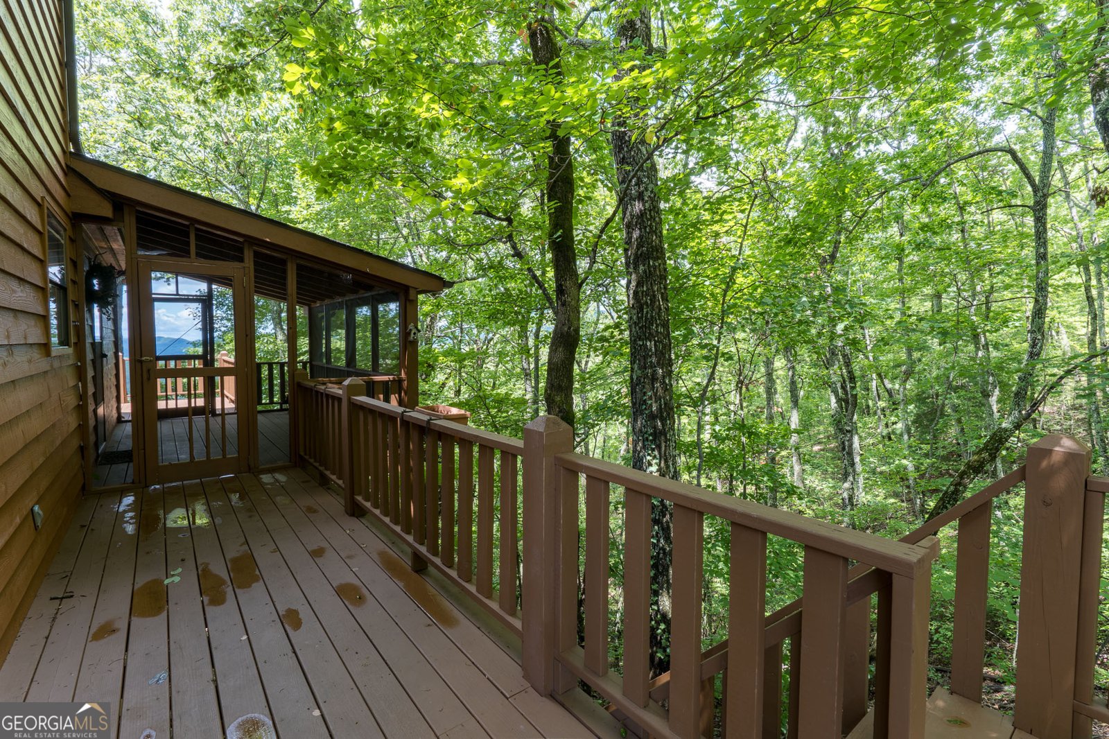 425 Boyd Ridge Road Murphy - 3