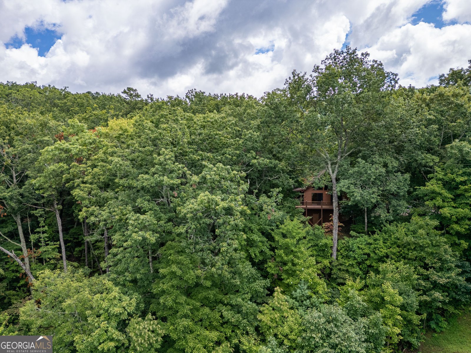 425 Boyd Ridge Road Murphy - 32