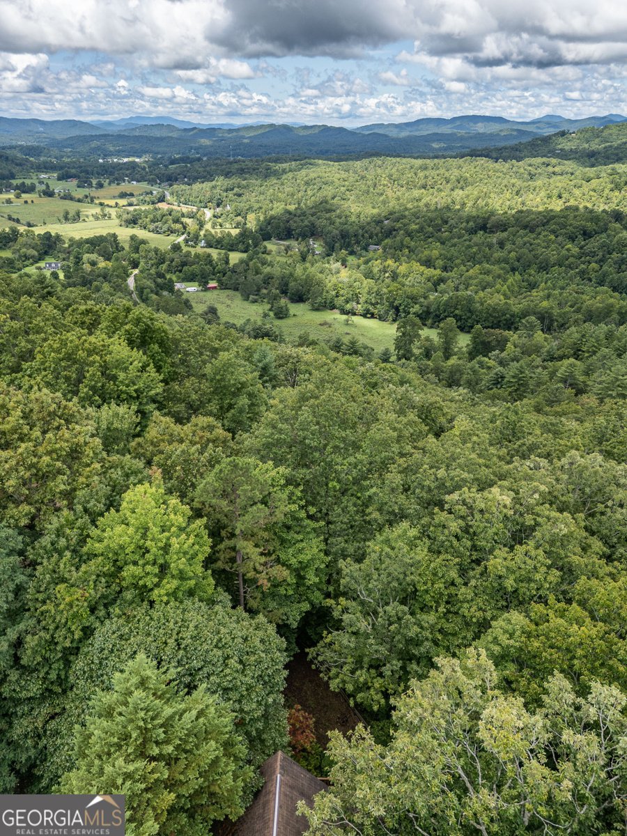 425 Boyd Ridge Road Murphy - 35