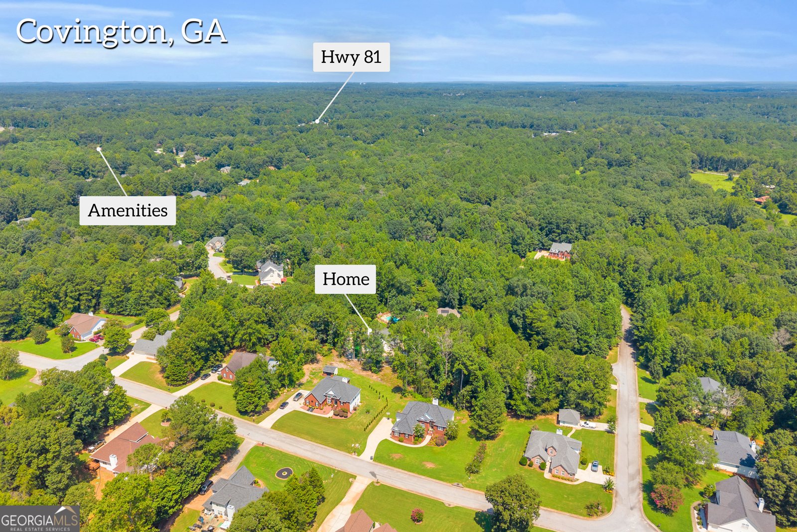 25 Castlehill Court Covington - 20