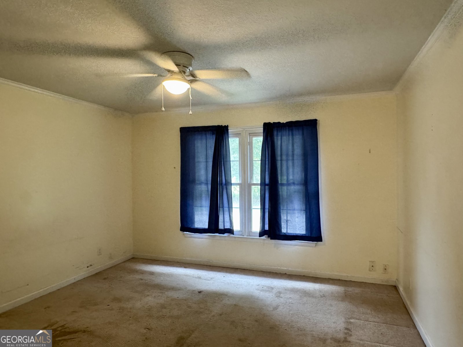 3302 Brooklet Leefield Road Brooklet - 14