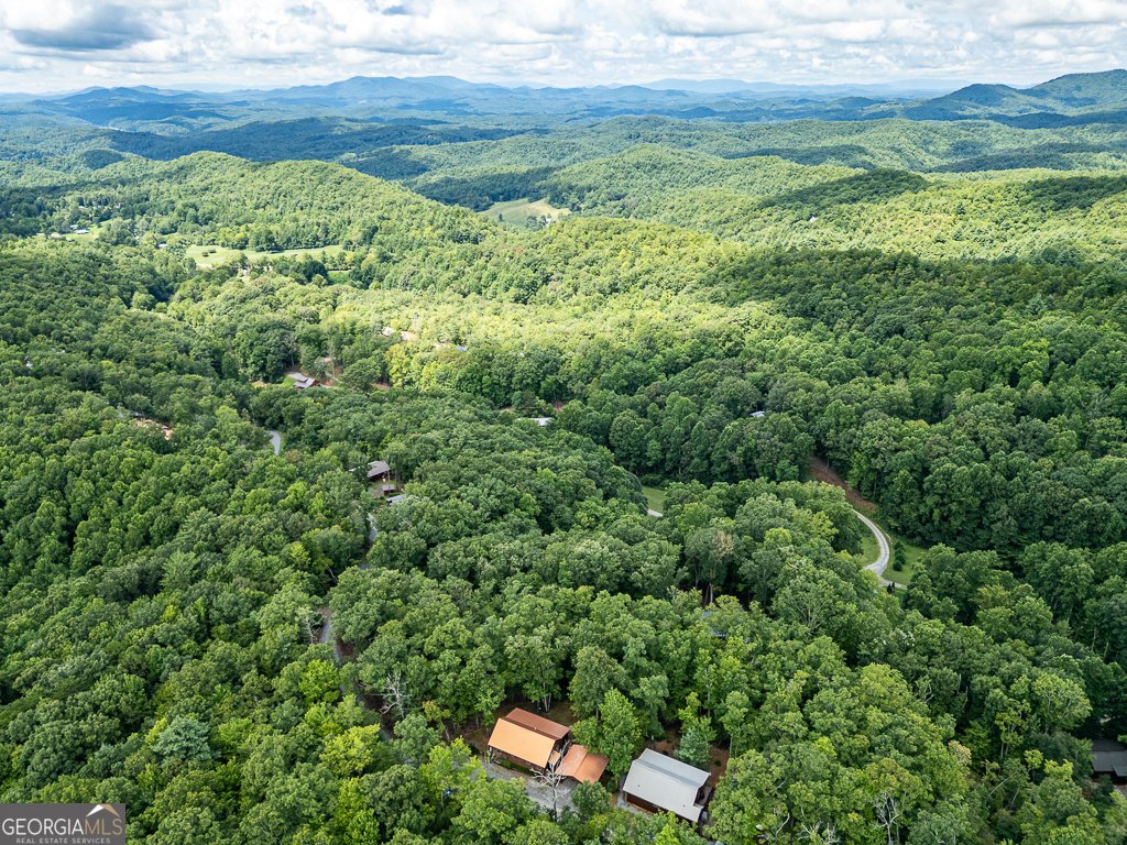 311 Legendary Ridge Road Murphy - 5