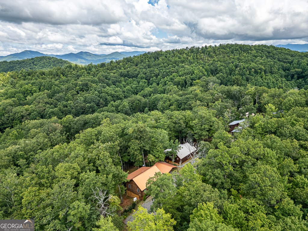 311 Legendary Ridge Road Murphy - 7