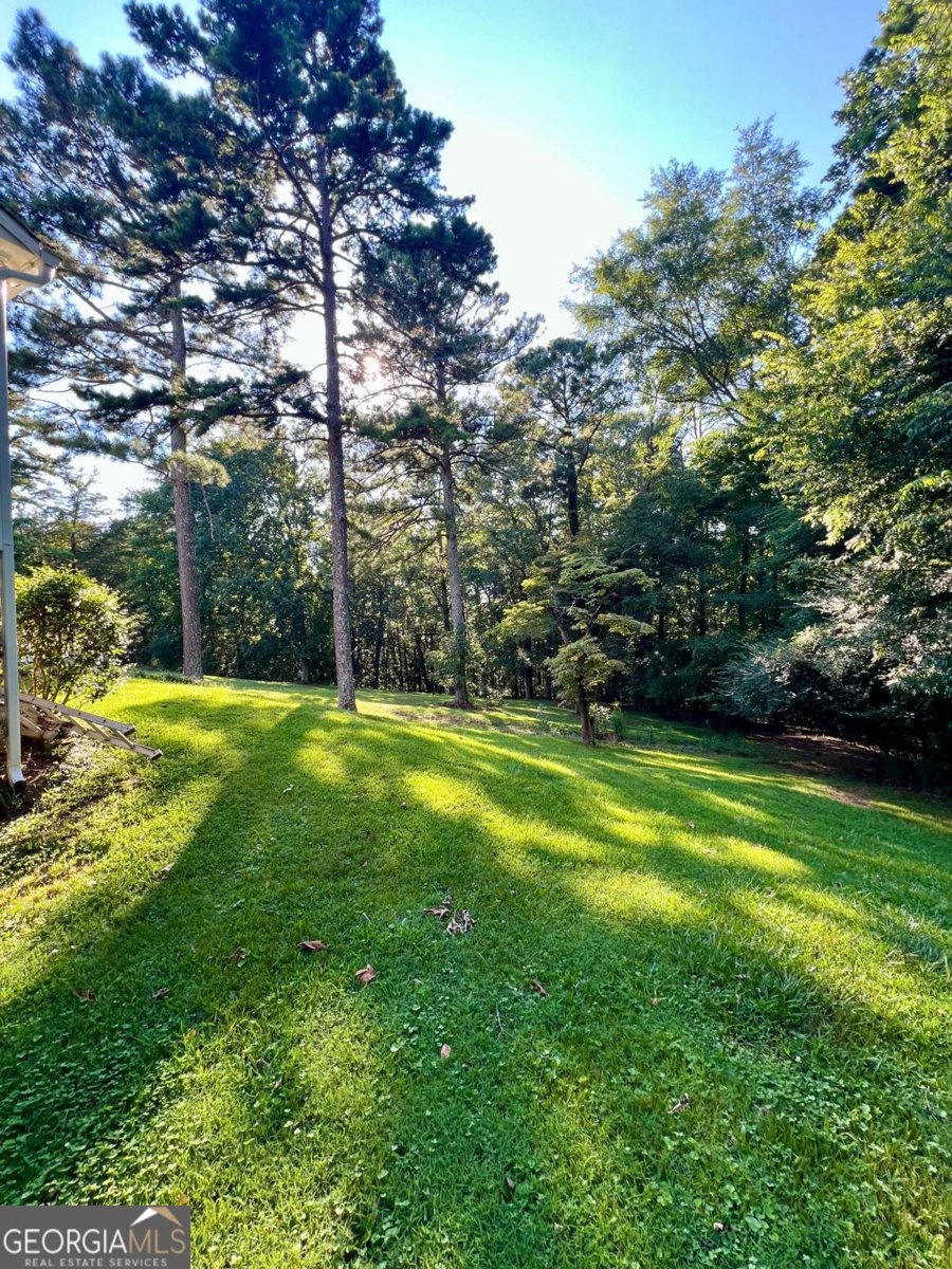 250 Shady Lane Adairsville - 56
