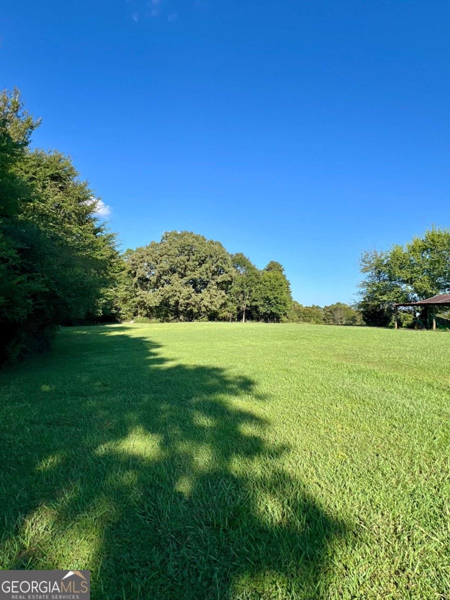 250 Shady Lane Adairsville - 59