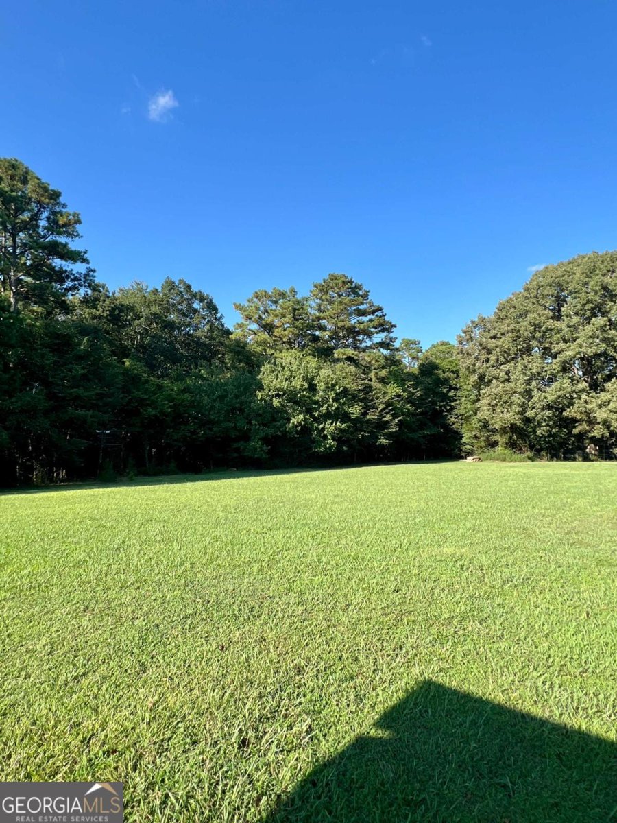 250 Shady Lane Adairsville - 60