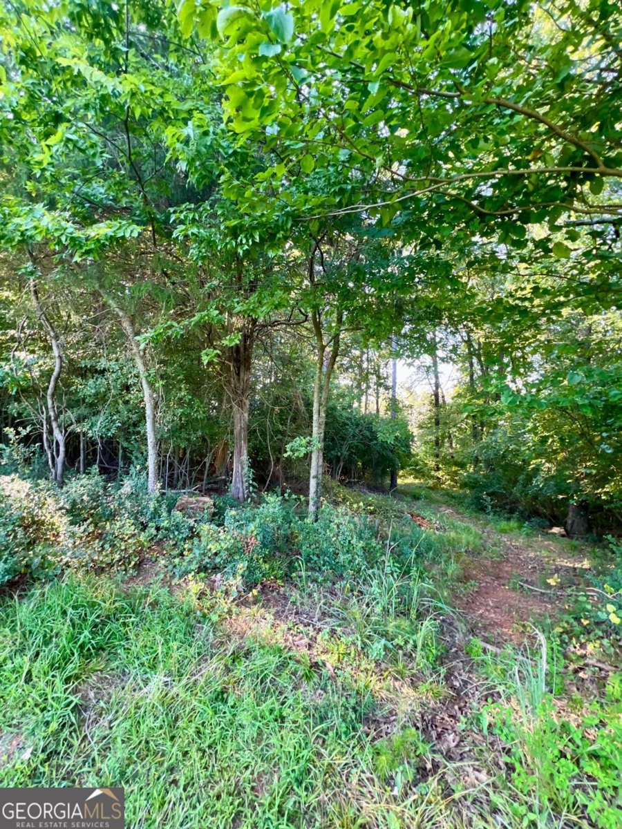 250 Shady Lane Adairsville - 64