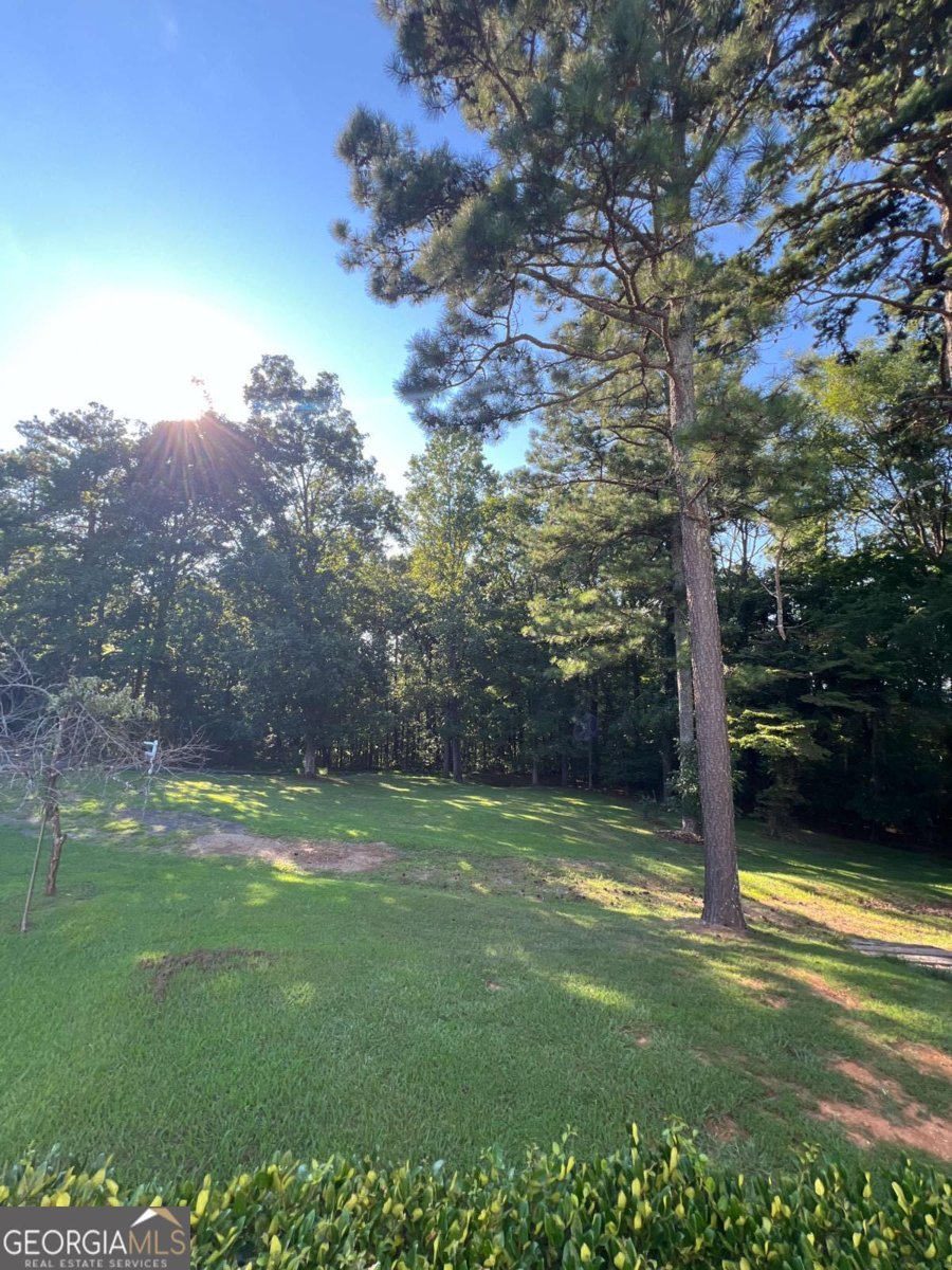 250 Shady Lane Adairsville - 8