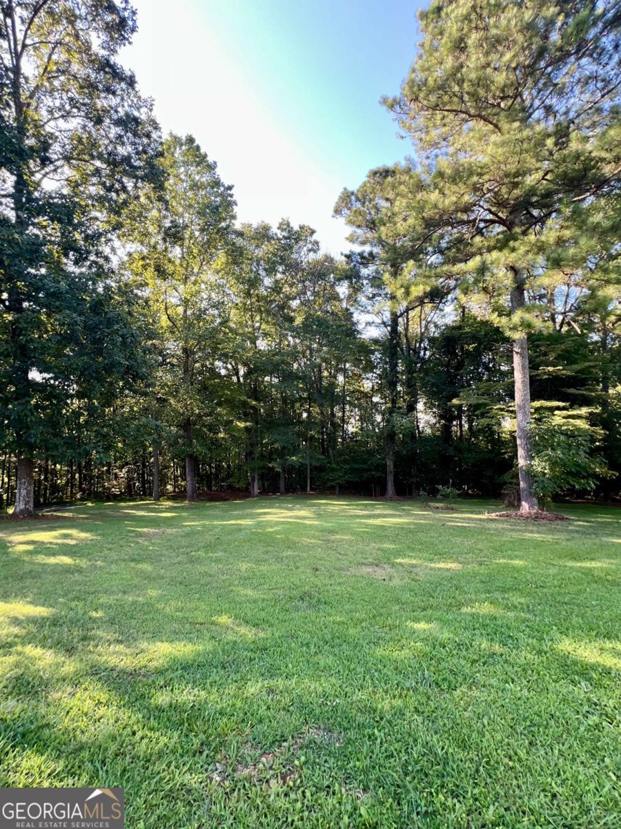 250 Shady Lane Adairsville - 9