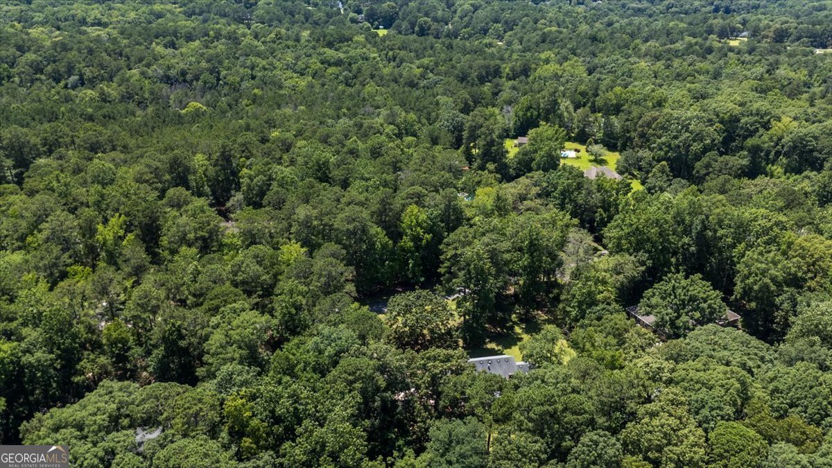 1177 Lucky Debonair Drive Macon - 9