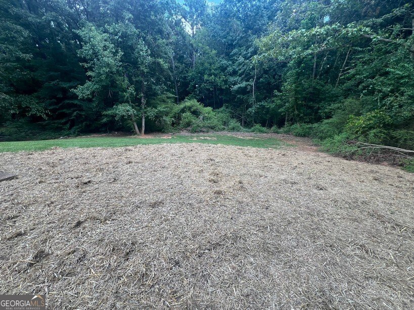 120 Lazy Hollow Lane Covington - 27