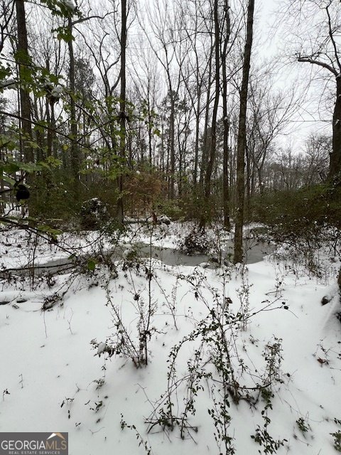 195 Cotton Mill Drive Hiram - 36
