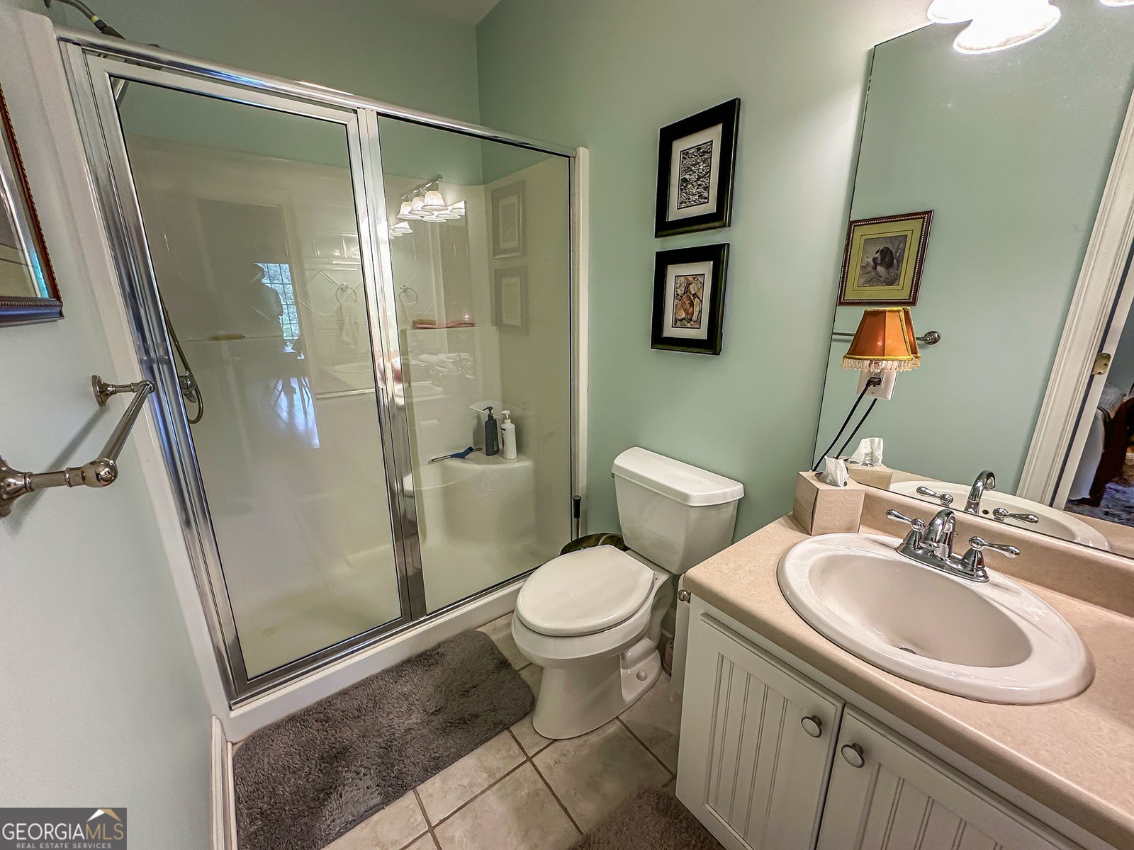 491 Hidden Falls Drive Tiger - 2