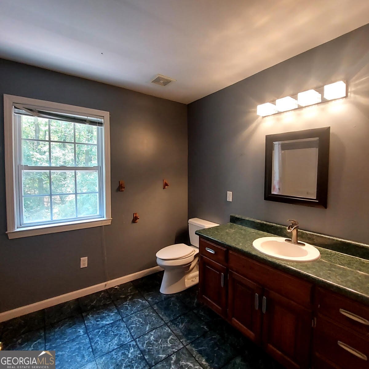 133 Virginia Circle Cedartown - 27