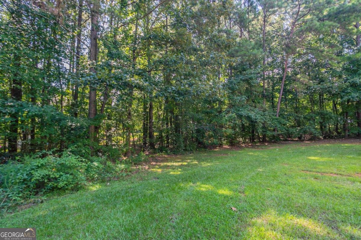 106 Loam Drive Mcdonough - 36