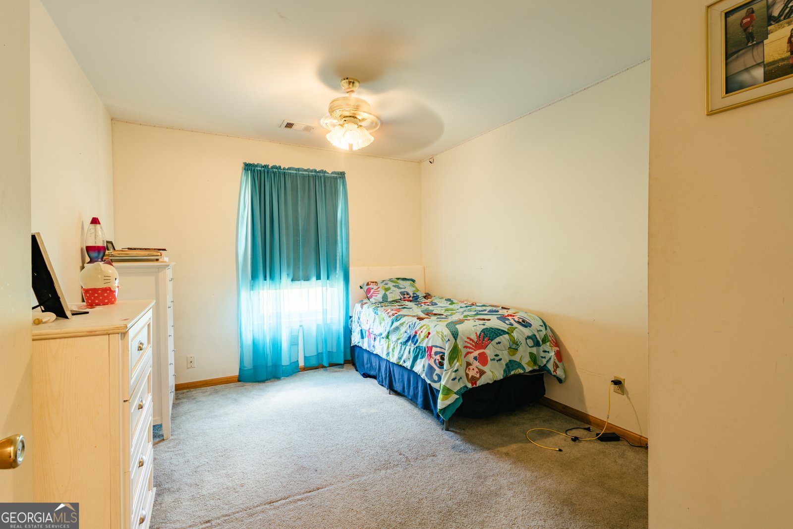 691 Broxton Highway Fitzgerald - 29