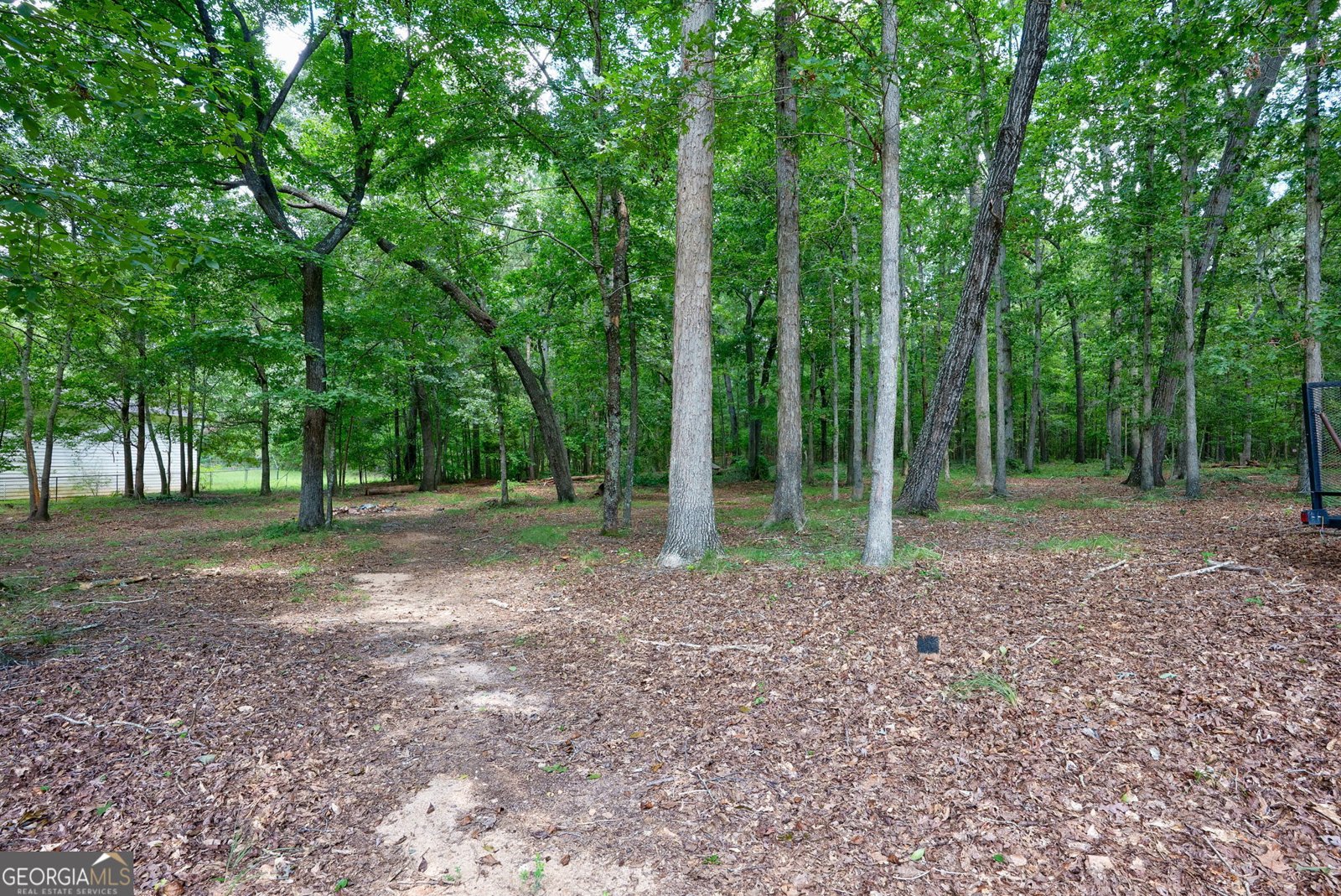 1181 Dove Creek Circle Winder - 61