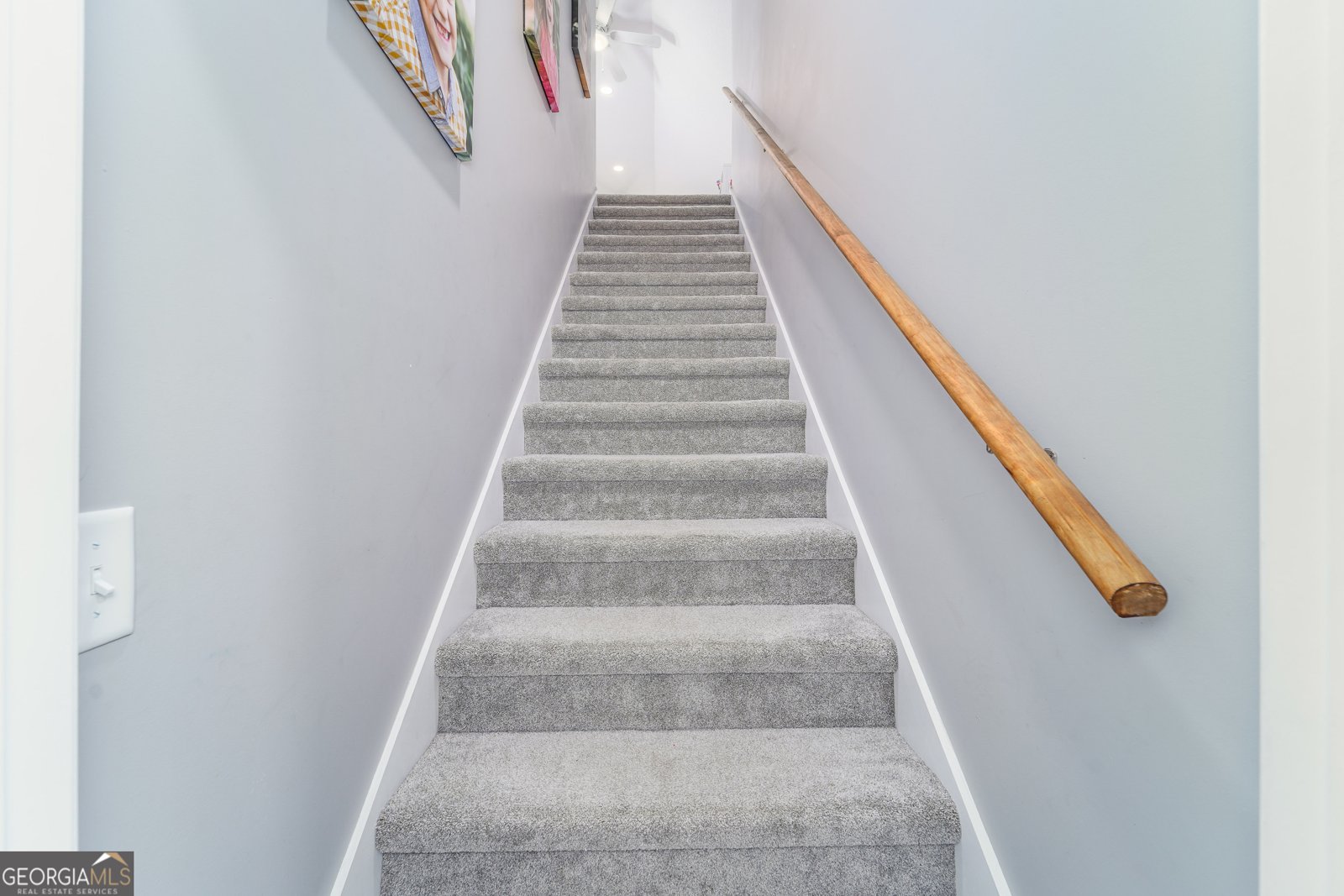 128 Satilla Bluffs Drive Blackshear - 29