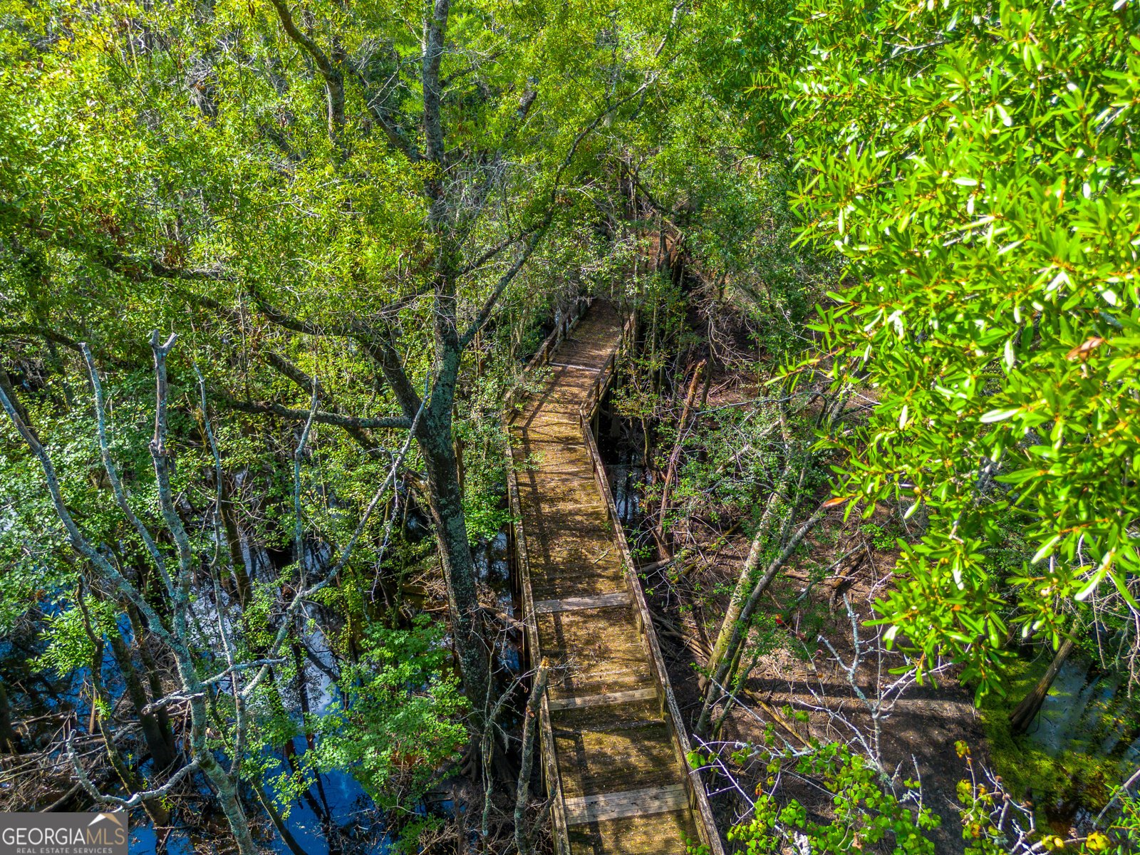 128 Satilla Bluffs Drive Blackshear - 8