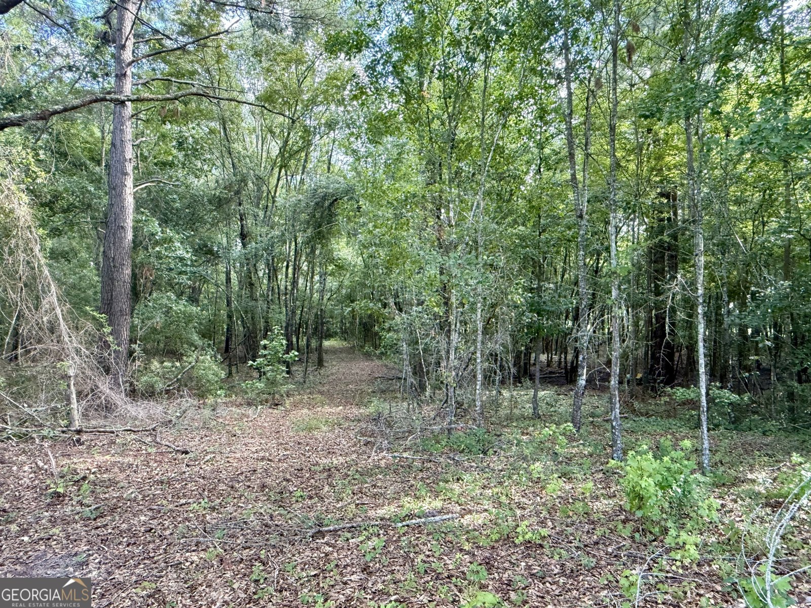 1430 Old Poor Robin Road Sylvania - 25