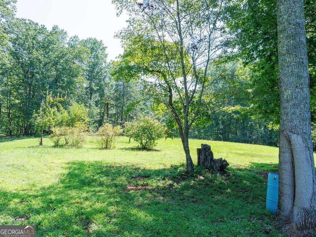 532 Ridley Road Dahlonega - 26
