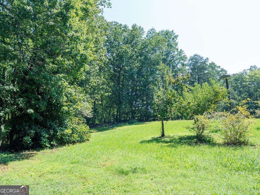 532 Ridley Road Dahlonega - 28