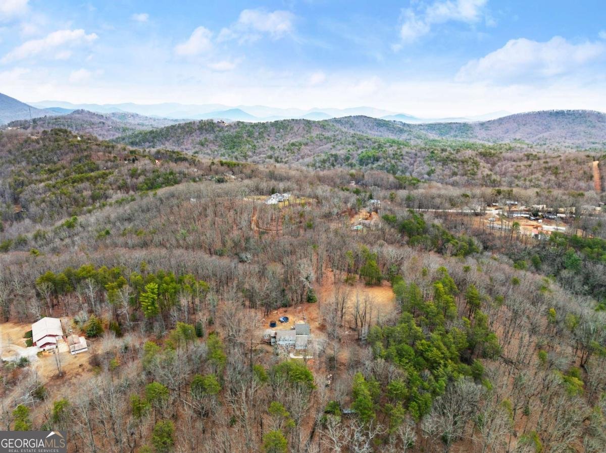 532 Ridley Road Dahlonega - 36