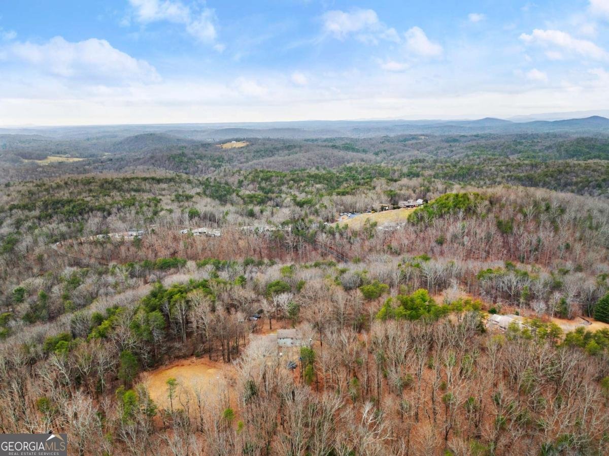 532 Ridley Road Dahlonega - 42