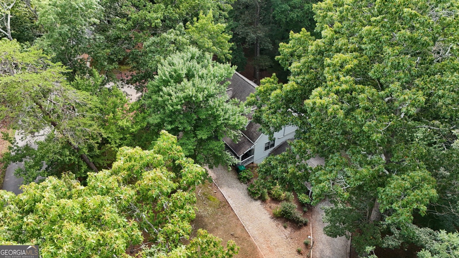 363 Canyon Point Dirve Demorest - 3