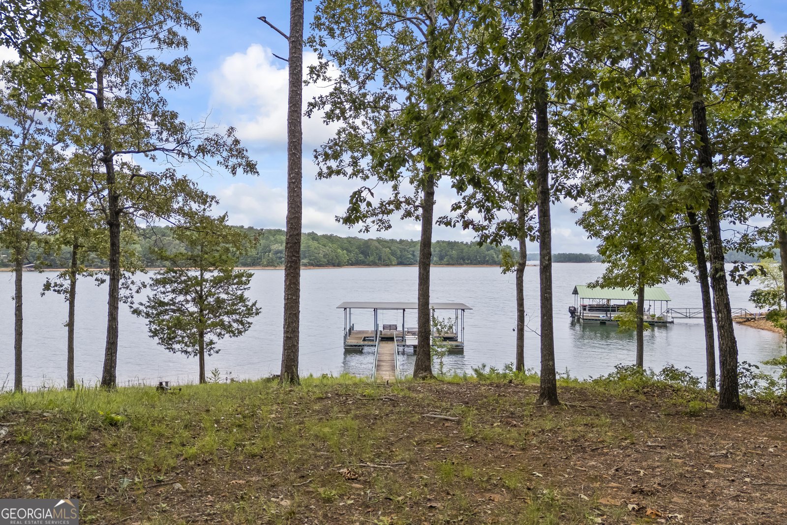 149 Foxtail Drive Hartwell - 2