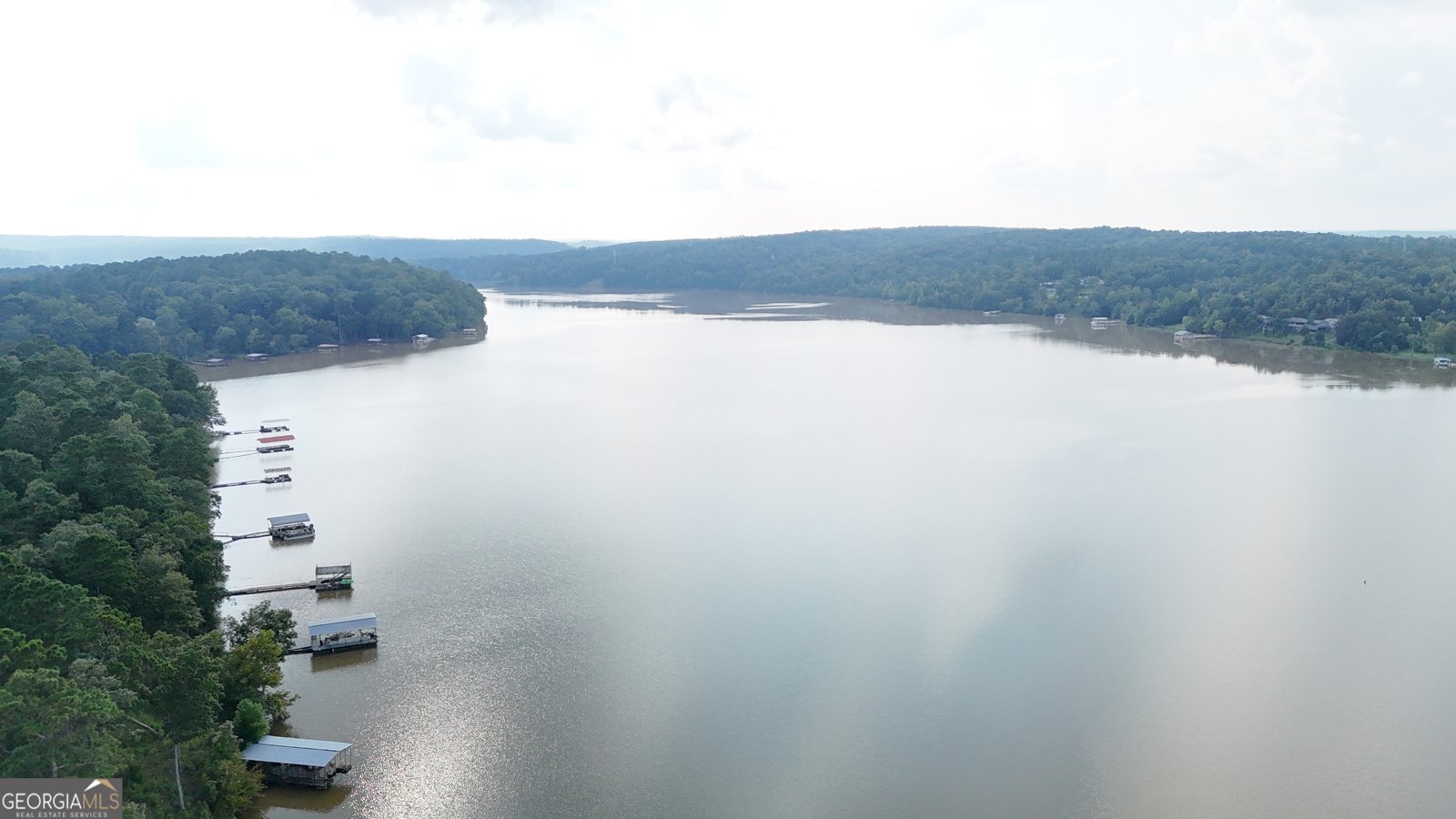 1485 Broad River Scenic Drive Tignall - 1