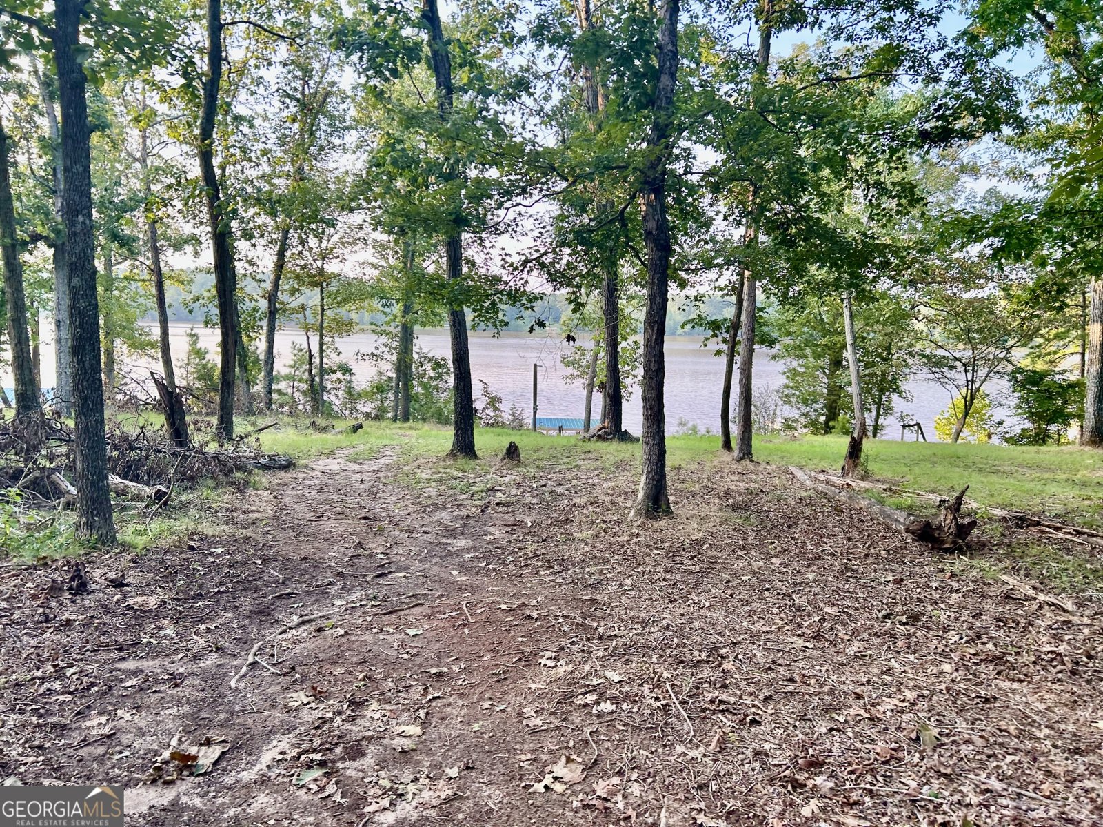 1485 Broad River Scenic Drive Tignall - 11